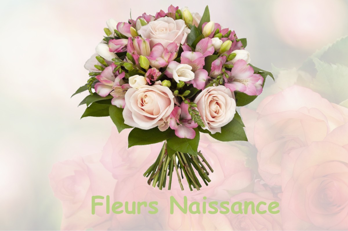 fleurs naissance FRESNAY-LE-SAMSON